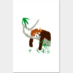 Snoozing Red Panda Posters and Art